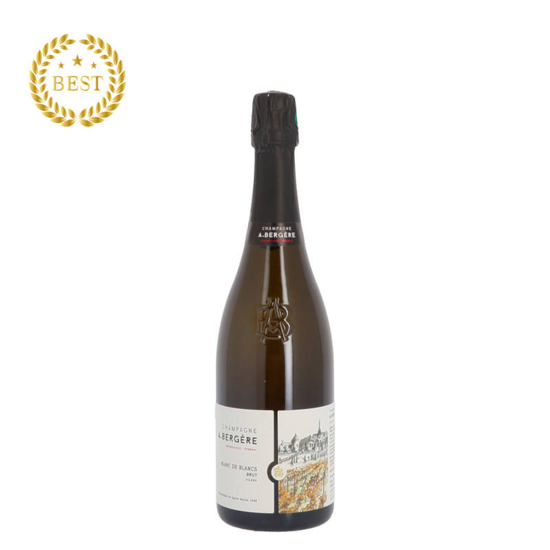 [팝업]CHAMPAGNE A.BERGÈRE Soléra Blanc (통관세금 포함).new
