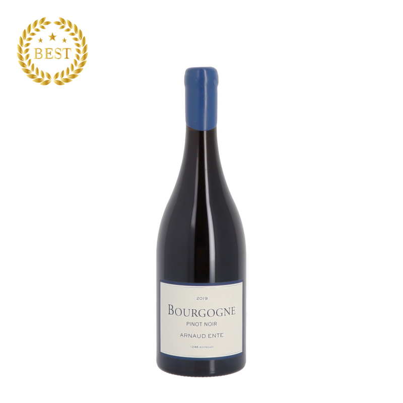 [팝업] DOMAINE ARNAUD ENTE - Bourgogne Pinot noir 2019 Rouge (통관세금 포함).new
