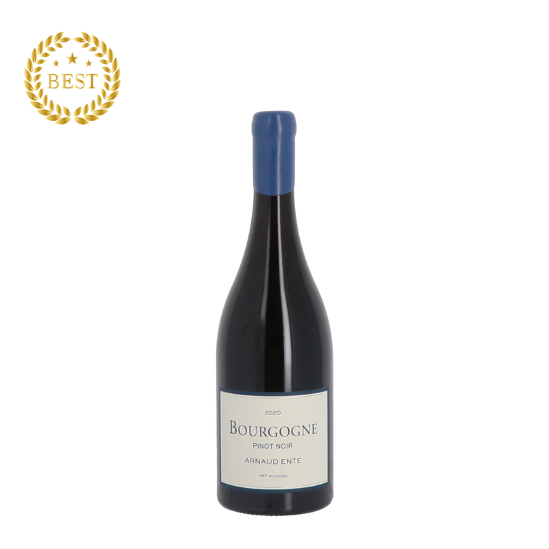 [팝업] DOMAINE ARNAUD ENTE - Bourgogne Pinot noir 2020 Rouge (통관세금 포함).new