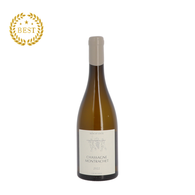 [팝업] DOMAINE BENOIT ENTE LES HOUILLÈRES Chassagne Montrachet 2022 Blanc (통관세금 포함).new