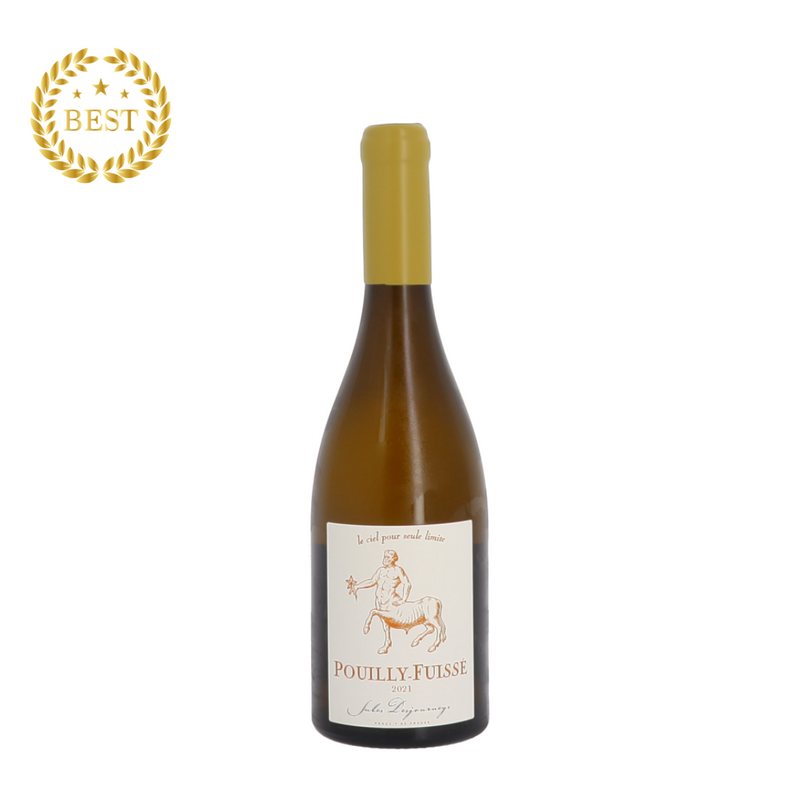 [팝업] DOMAINE JULES DESJOURNEYS - POUILLY-FUISSÉ VILLAGE - 2021 Blanc (통관세금 포함).new