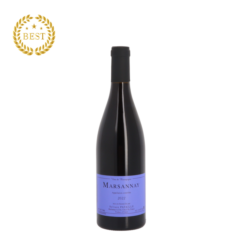 [팝업]DOMAINE SYLVAIN PATAILLE MARSANNAY 2022 rouge (통관세금 포함).new