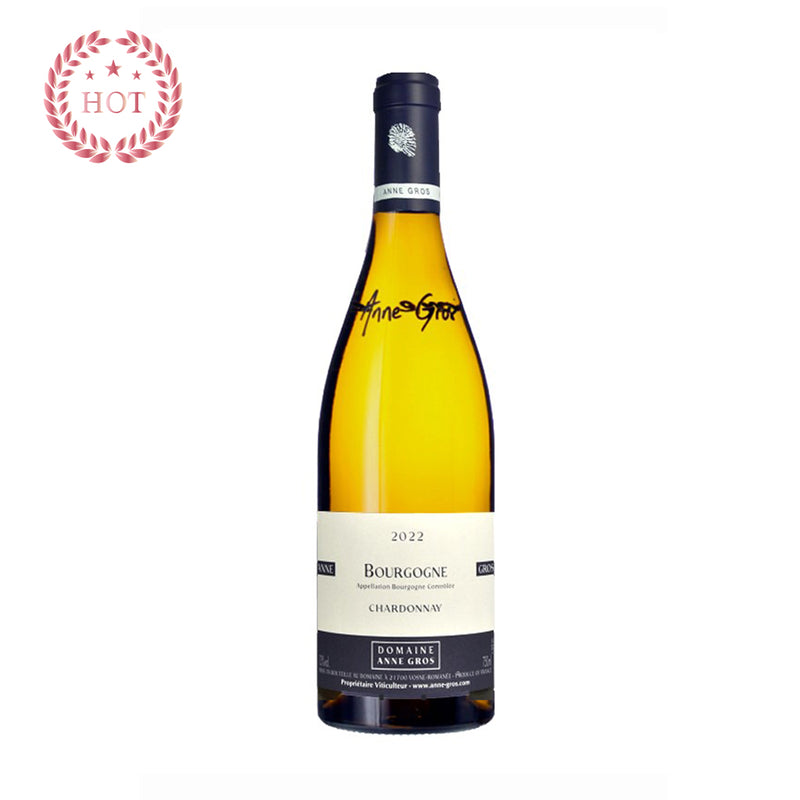 [팝업] ANNE GROS - BOURGOGNE Chardonnay White - 2022 (통관세금 포함)