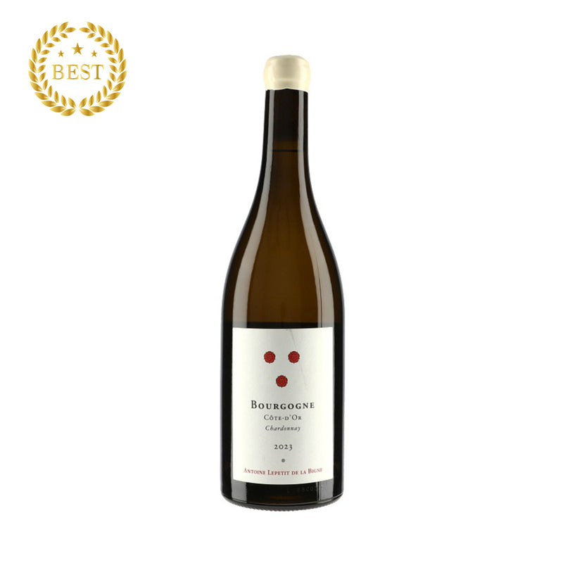 ANTOINE LEPETIT DE LA BIGNE - BOURGOGNE Chardonnay - 2023 (통관세금포함).
