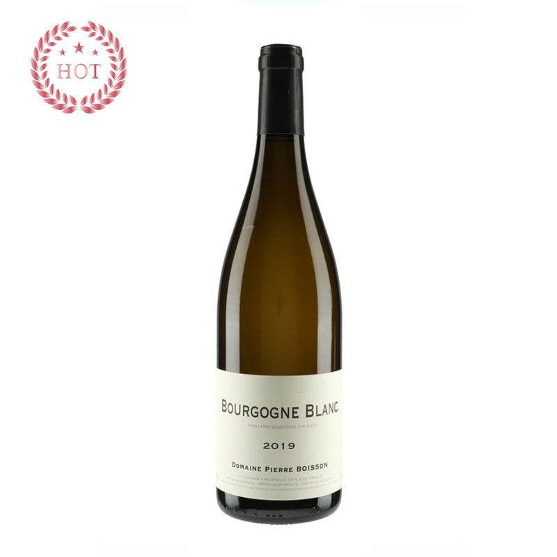 PIERRE BOISSON - BOURGOGNE BLANC - 2019 (통관세금 포함).